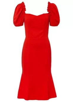 Puff Sleeve Party Dress -Lush Fit Store Puff Sleeve Party Dress918878FRSC